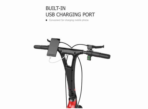 Go-Bike M3  FOLDABLE E-BIKE