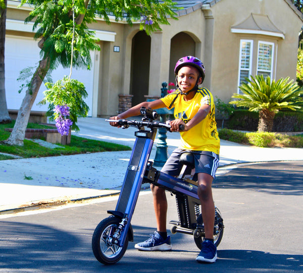 Go-Bike M2  FOLDABLE E-BIKE